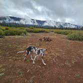 Review photo of NF970 - Brassuer's Butte by GianLuc B., May 14, 2025
