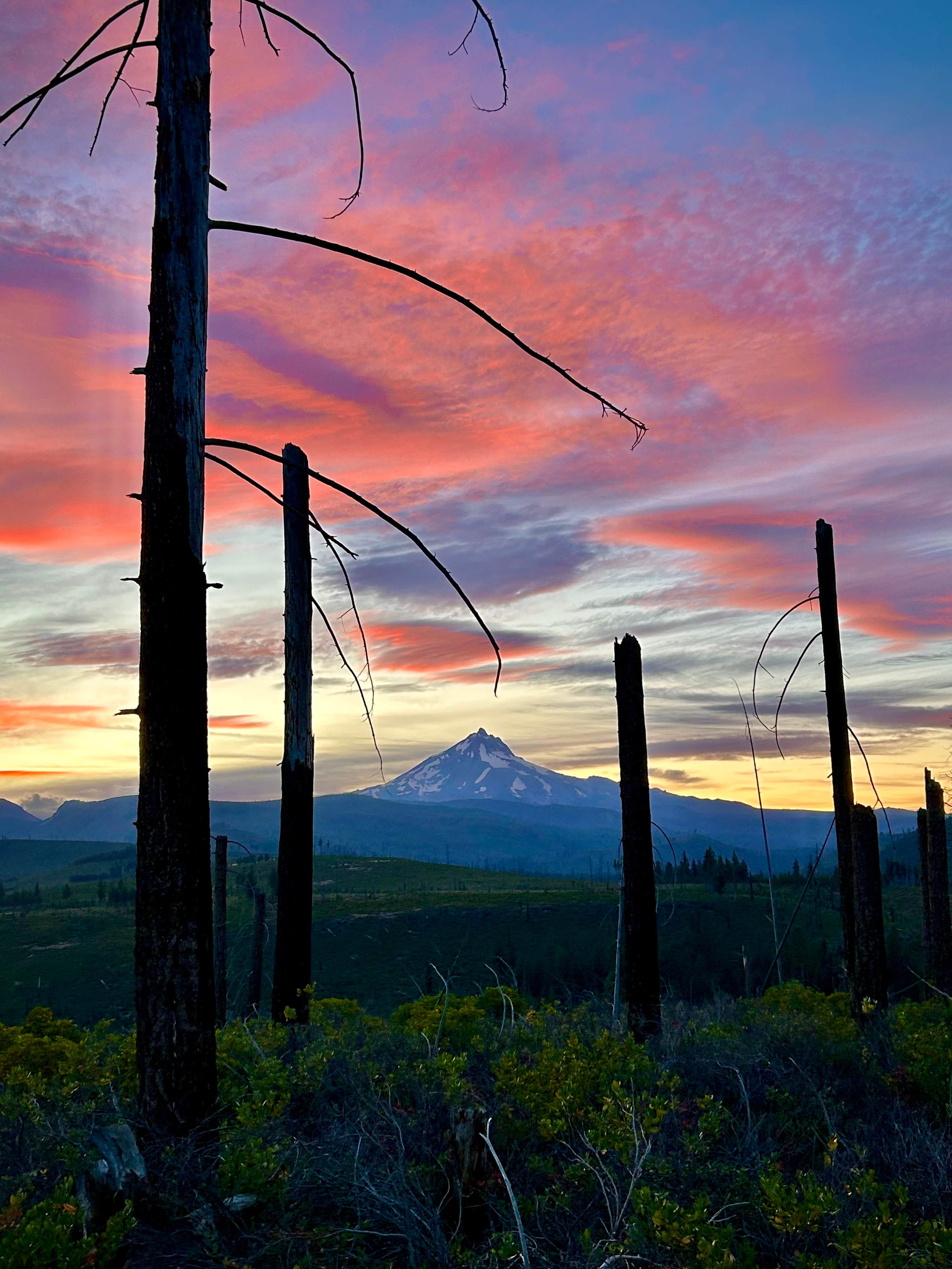 Gordon A.'s photo of a dispersed camping area at NF970 - Brasseur's Butte near Culver, OR