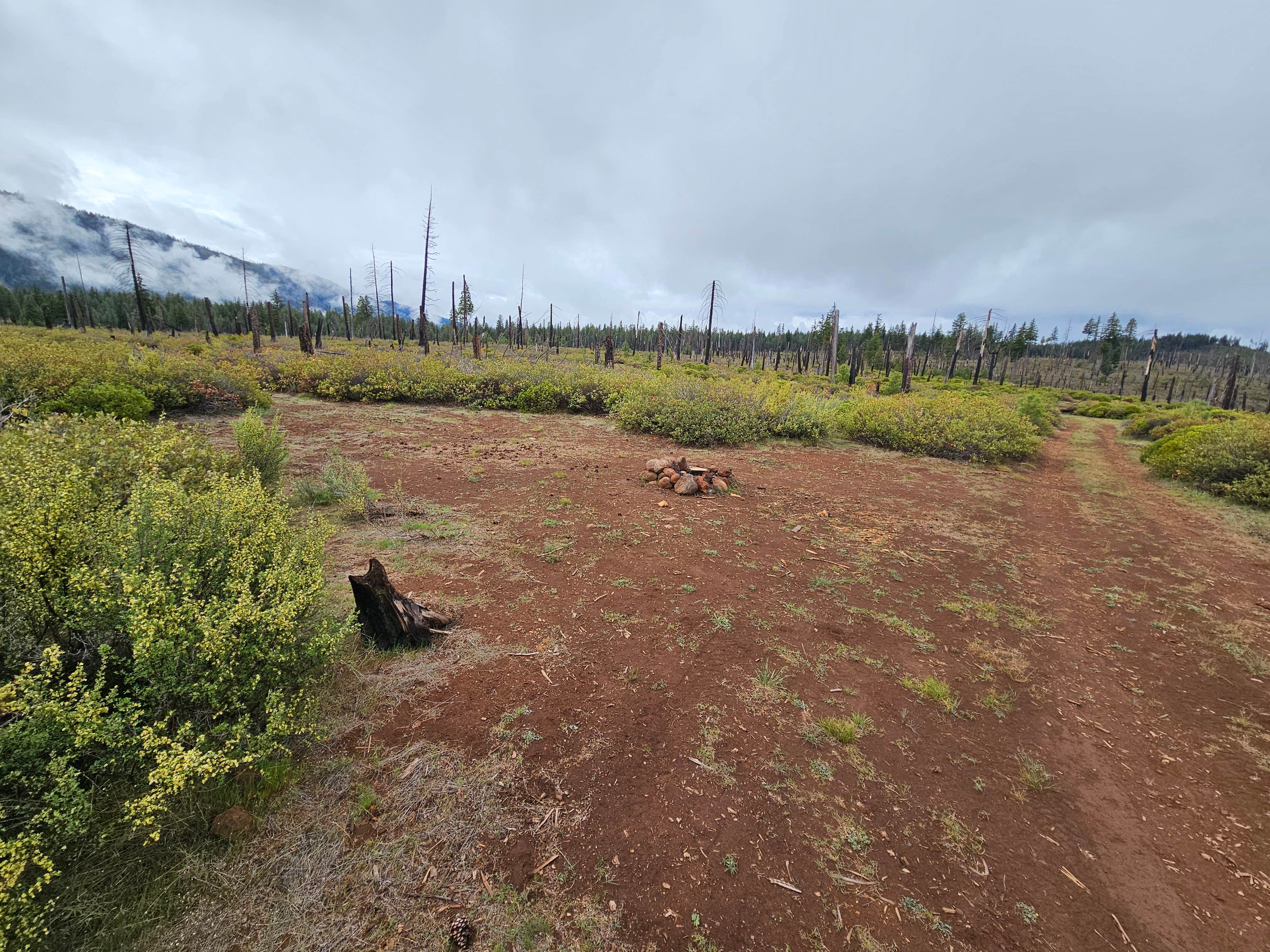 Camper submitted image from NF970 - Brassuer's Butte - 2
