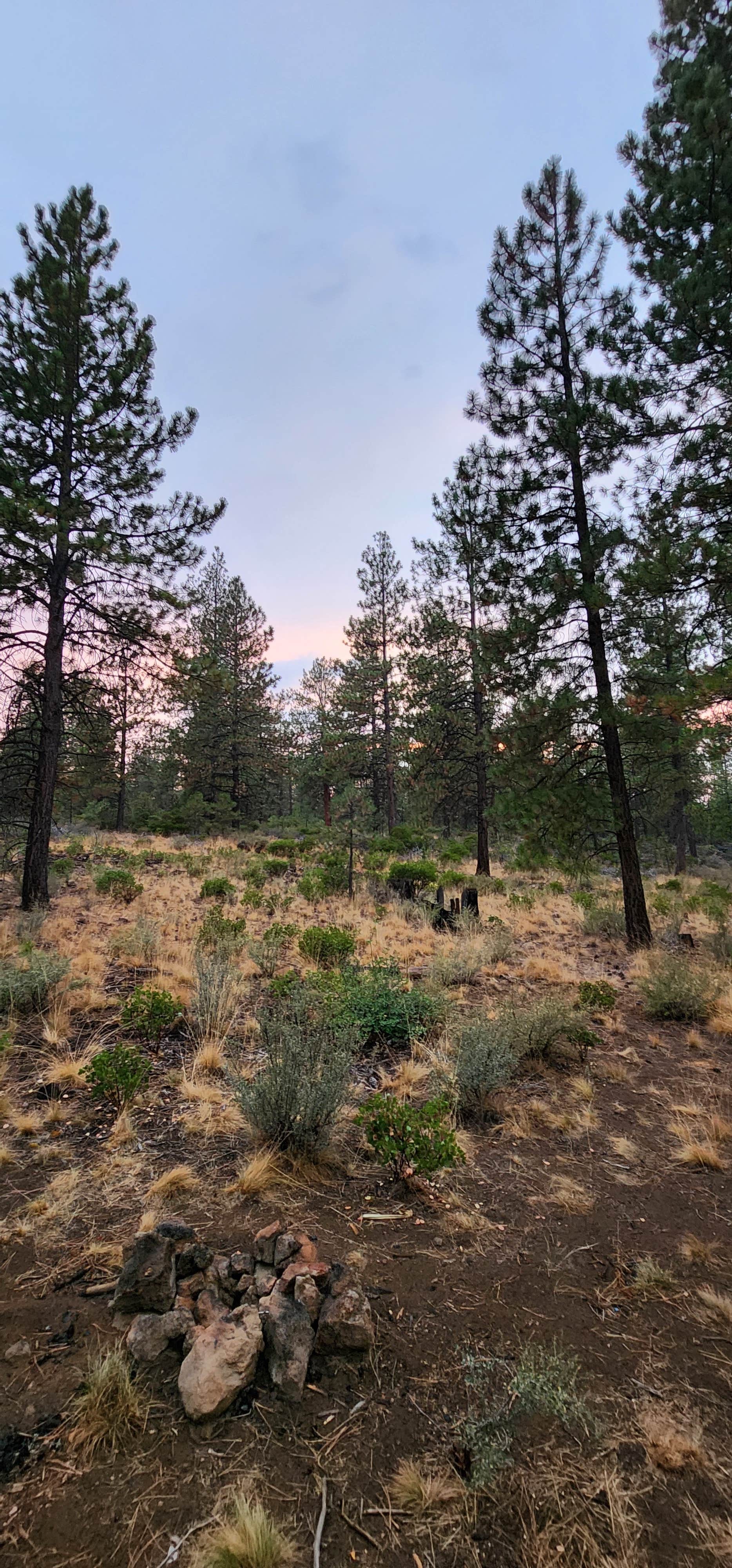 Camper-submitted photo at NFD-4604 Dispersed Camping near Bend, OR