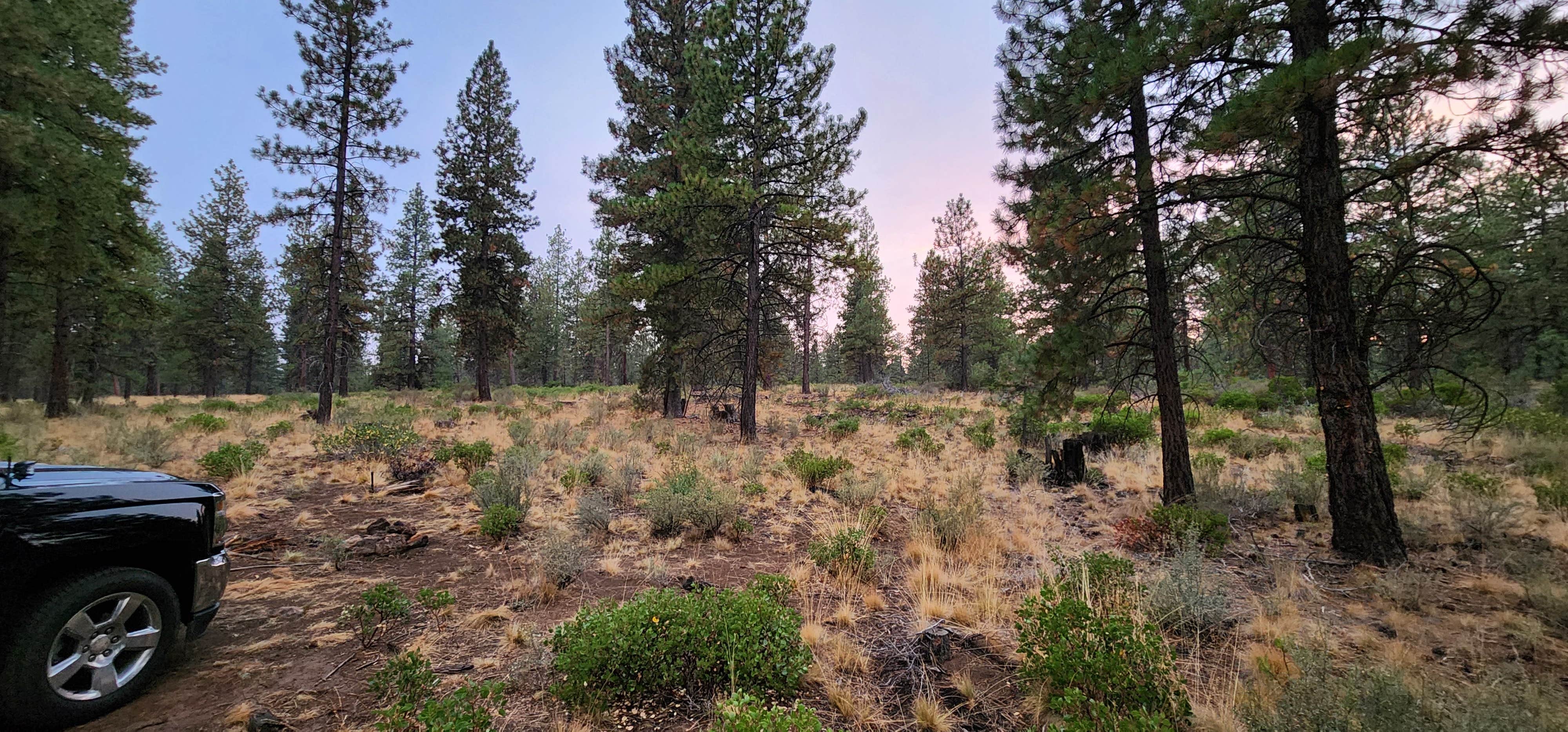 NFD-4604 Dispersed Camping