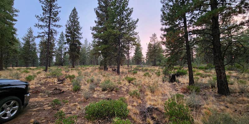 Camper submitted image from NFD-4604 Dispersed Camping