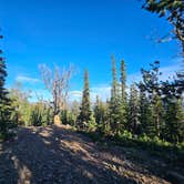 Review photo of Nice Pull Off Dispersed Site by Brittanie T., September 28, 2025