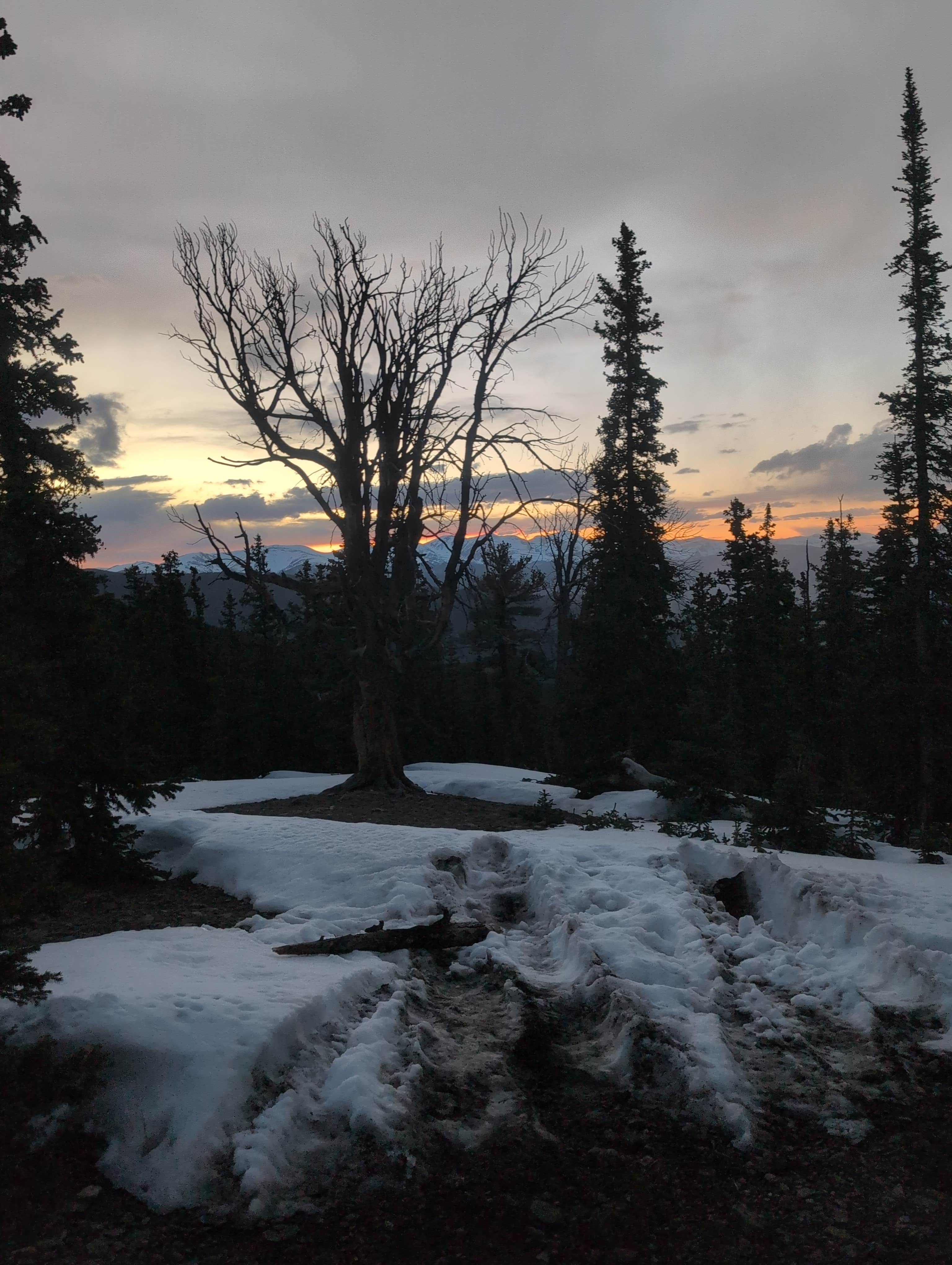 Camping near Hidden Wilderness Roadside Camp #2: Nice Pull Off Dispersed Site, Idaho Springs, Colorado