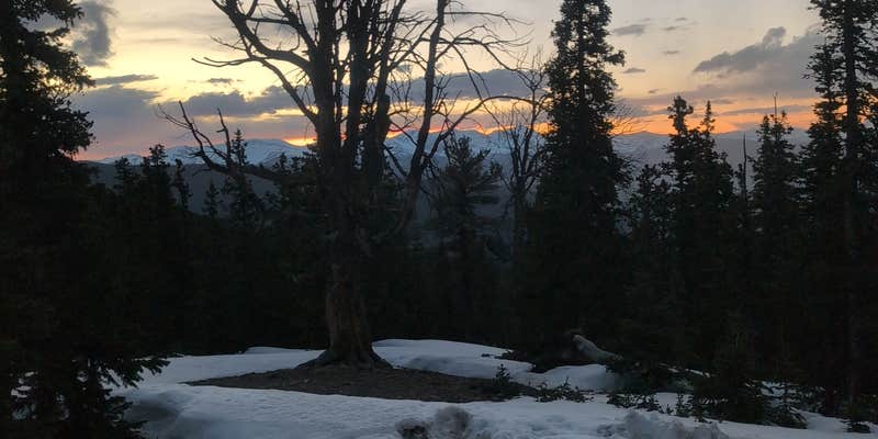 Camper submitted image from Nice Pull Off Dispersed Site