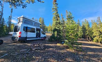 Brittanie T.'s photo of camping with pets at Nice Pull Off Dispersed Site near Georgetown, CO