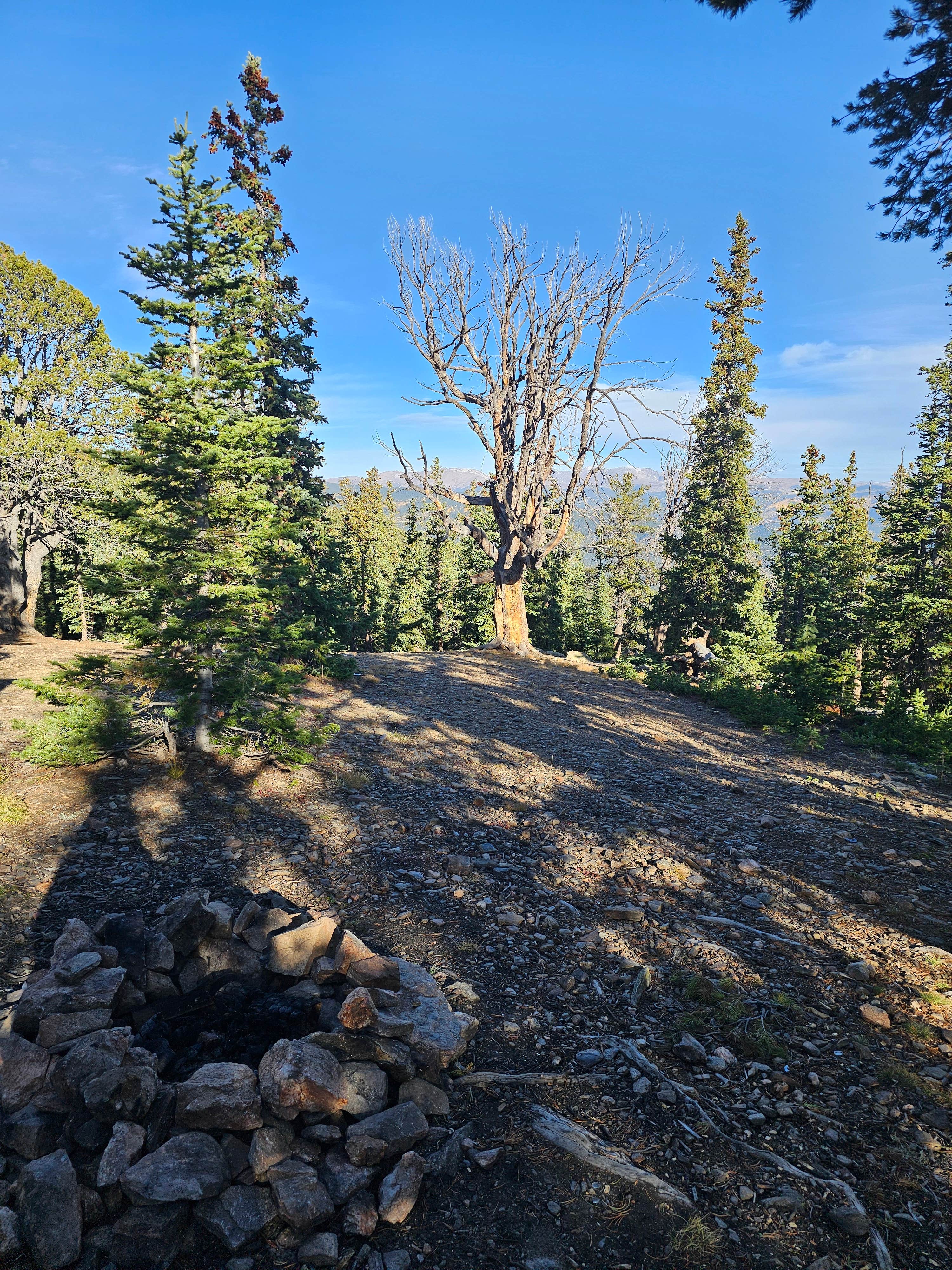 Camper-submitted photo at Nice Pull Off Dispersed Site near Conifer, CO