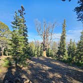 Review photo of Nice Pull Off Dispersed Site by Brittanie T., September 28, 2025