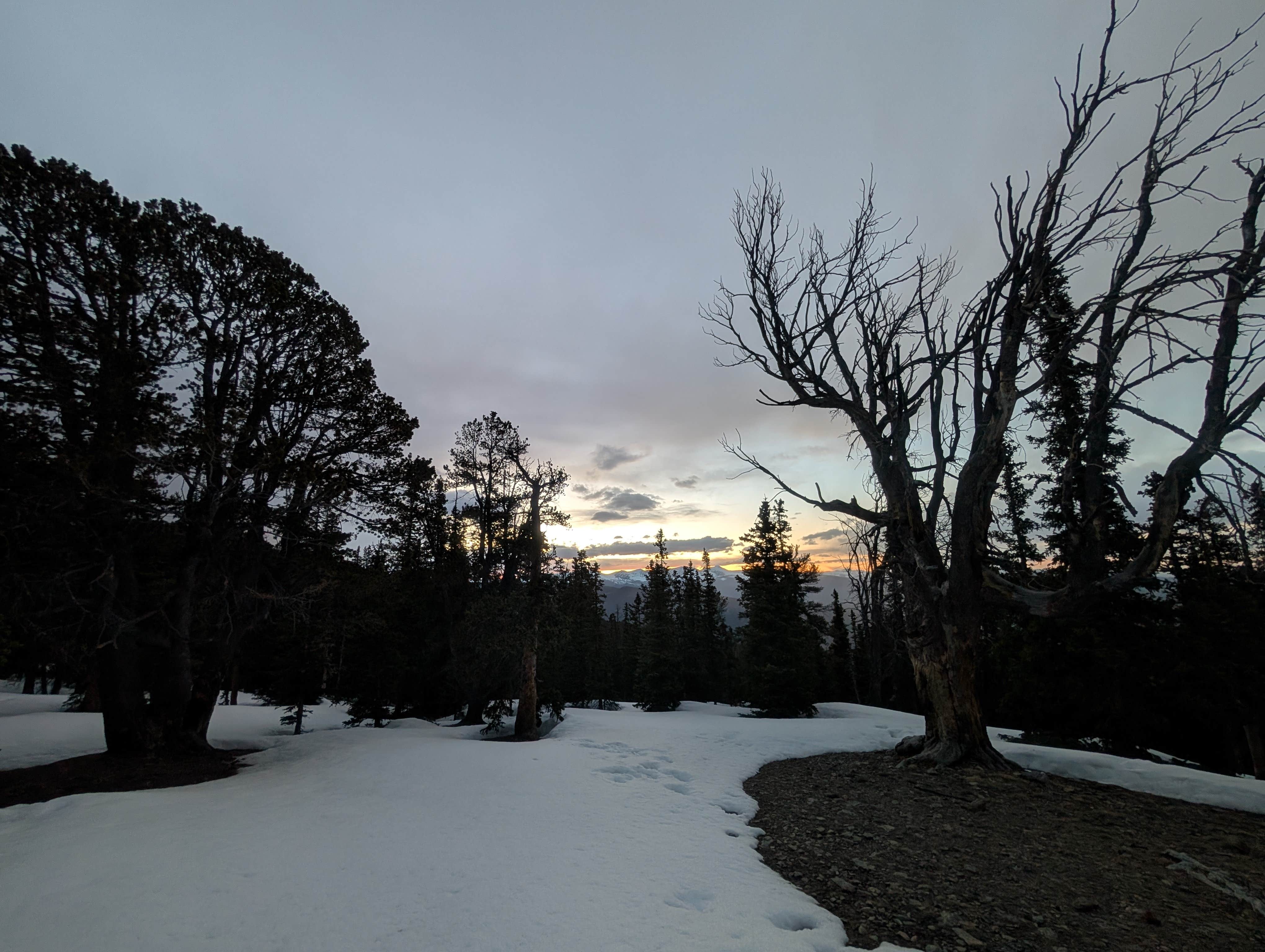 Camper-submitted photo at Nice Pull Off Dispersed Site near Conifer, CO