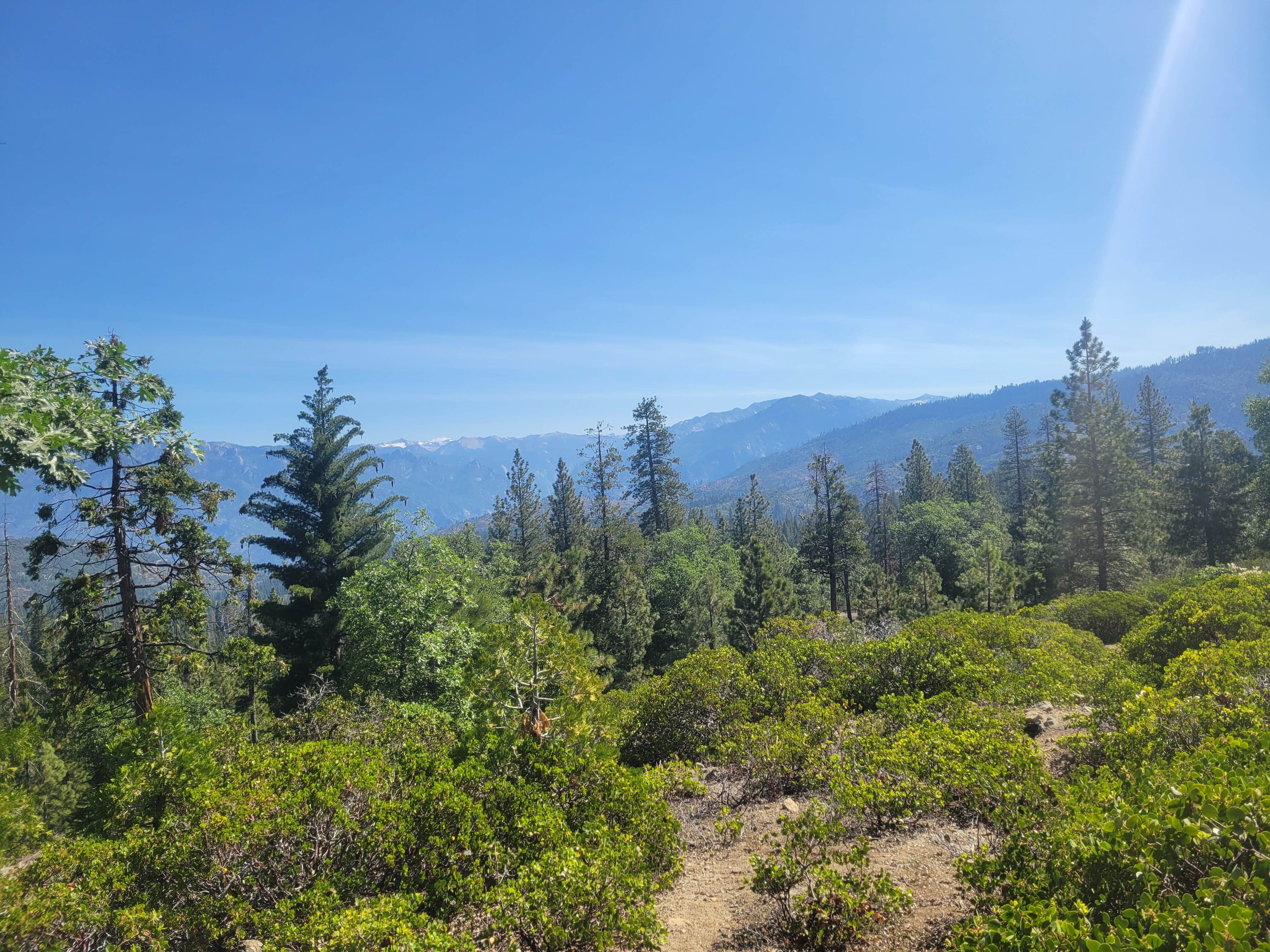 Forest Road 13S02 Dispersed Site