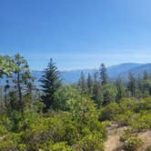 Review photo of Forest Road 13S02 Dispersed Site by goose10091203 , June 9, 2025