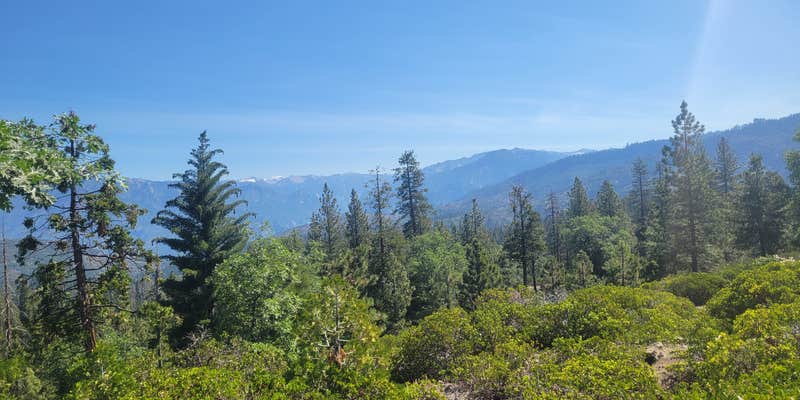 Camper submitted image from Forest Road 13S02 Dispersed Site