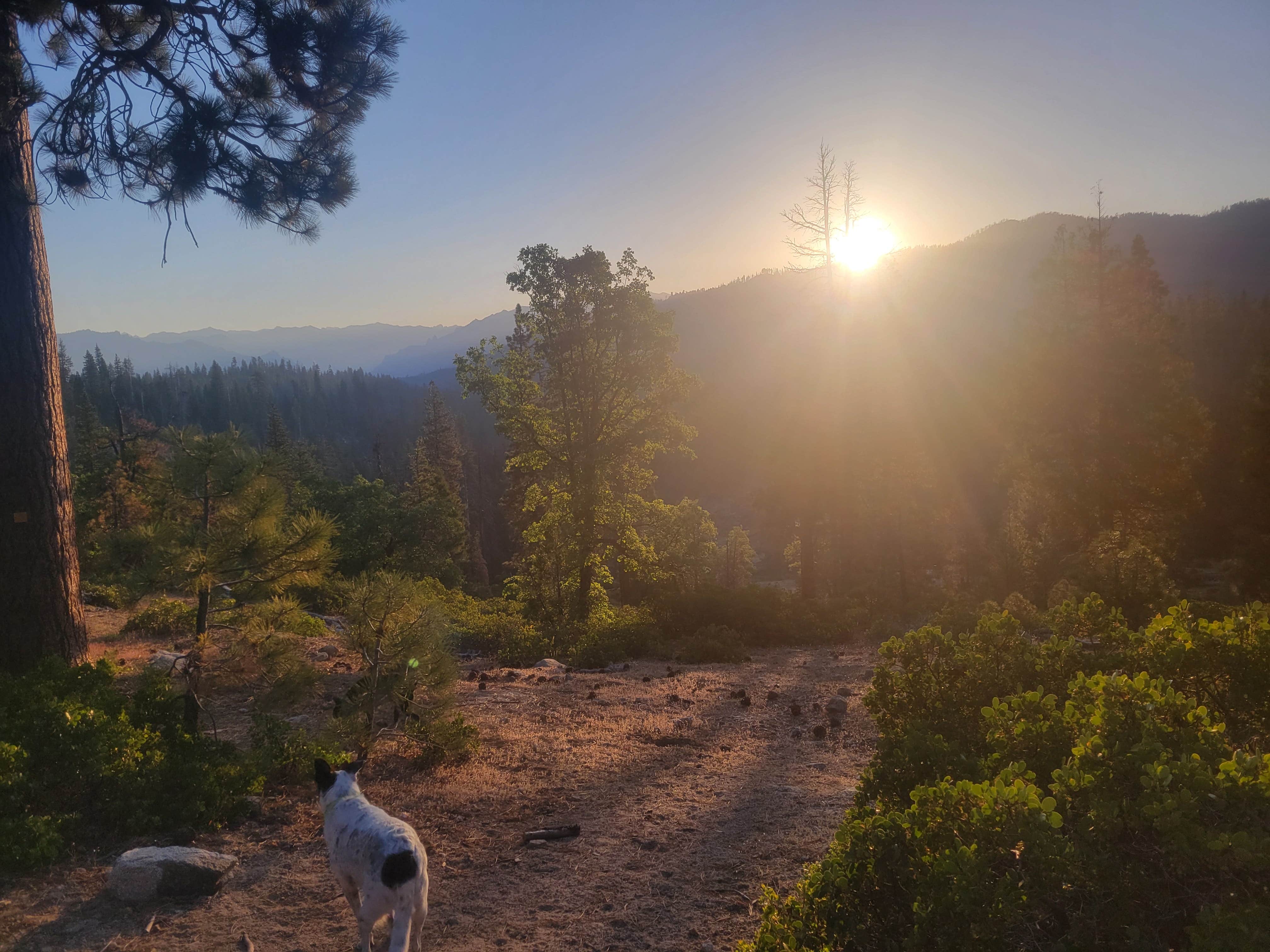 goose10091203's photo of a dispersed camping area at Forest Road 13S02 Dispersed Site near Sanger, CA
