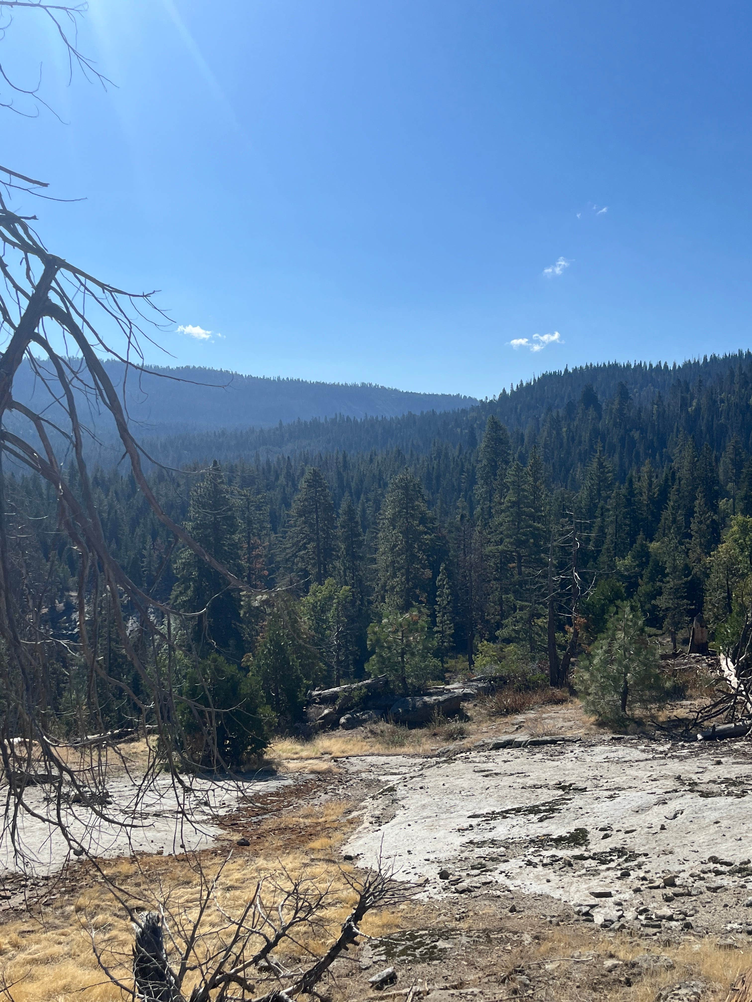 Camper-submitted photo at Forest Road 13S02 Dispersed Site near Sanger, CA