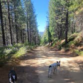 Review photo of Forest Road 13S02 Dispersed Site by goose10091203 , June 9, 2025