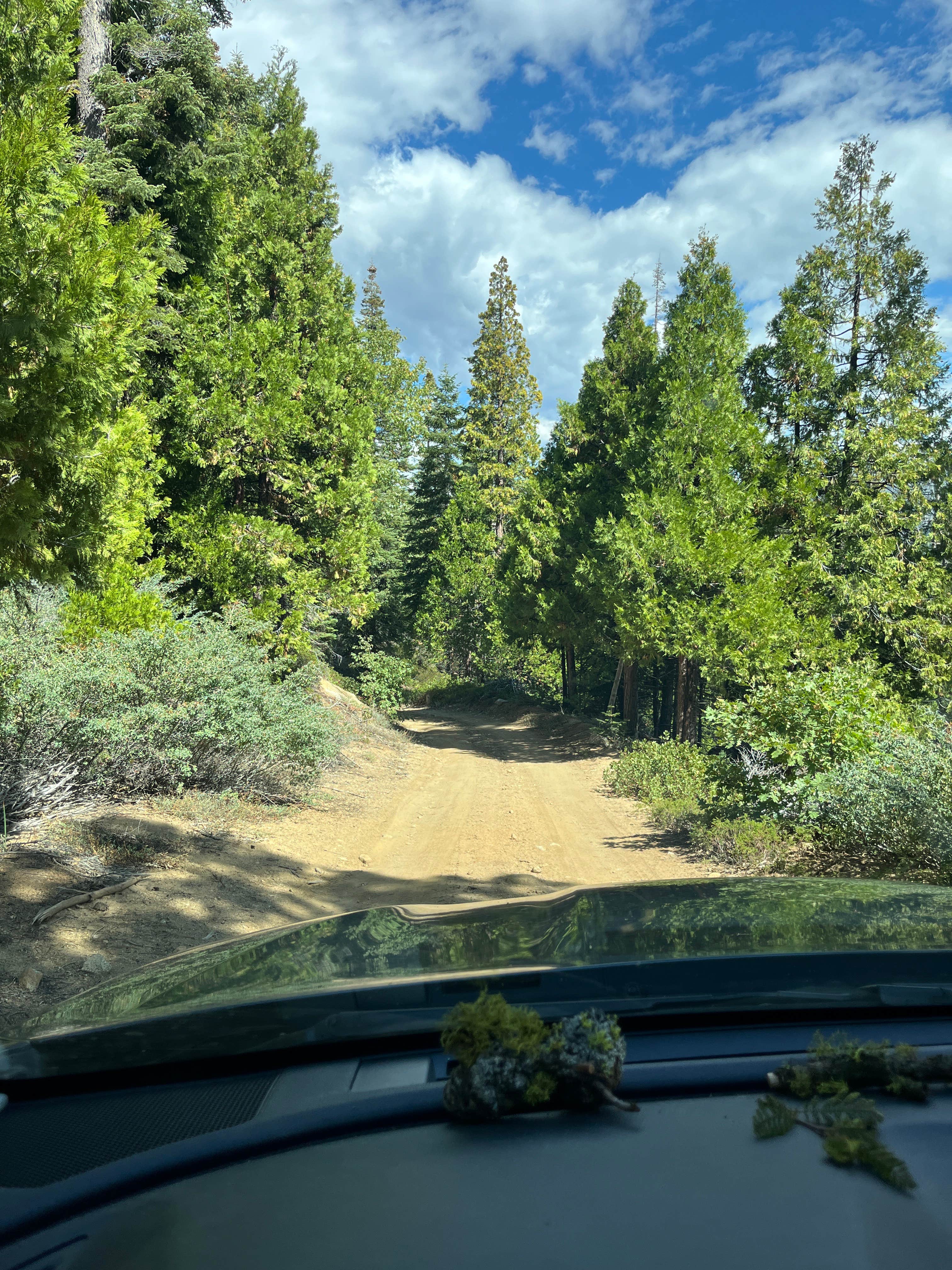 Camper-submitted photo at Forest Road 13S02 Dispersed Site near Sanger, CA