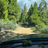 Review photo of Forest Road 13S02 Dispersed Site by M V., December 2, 2025