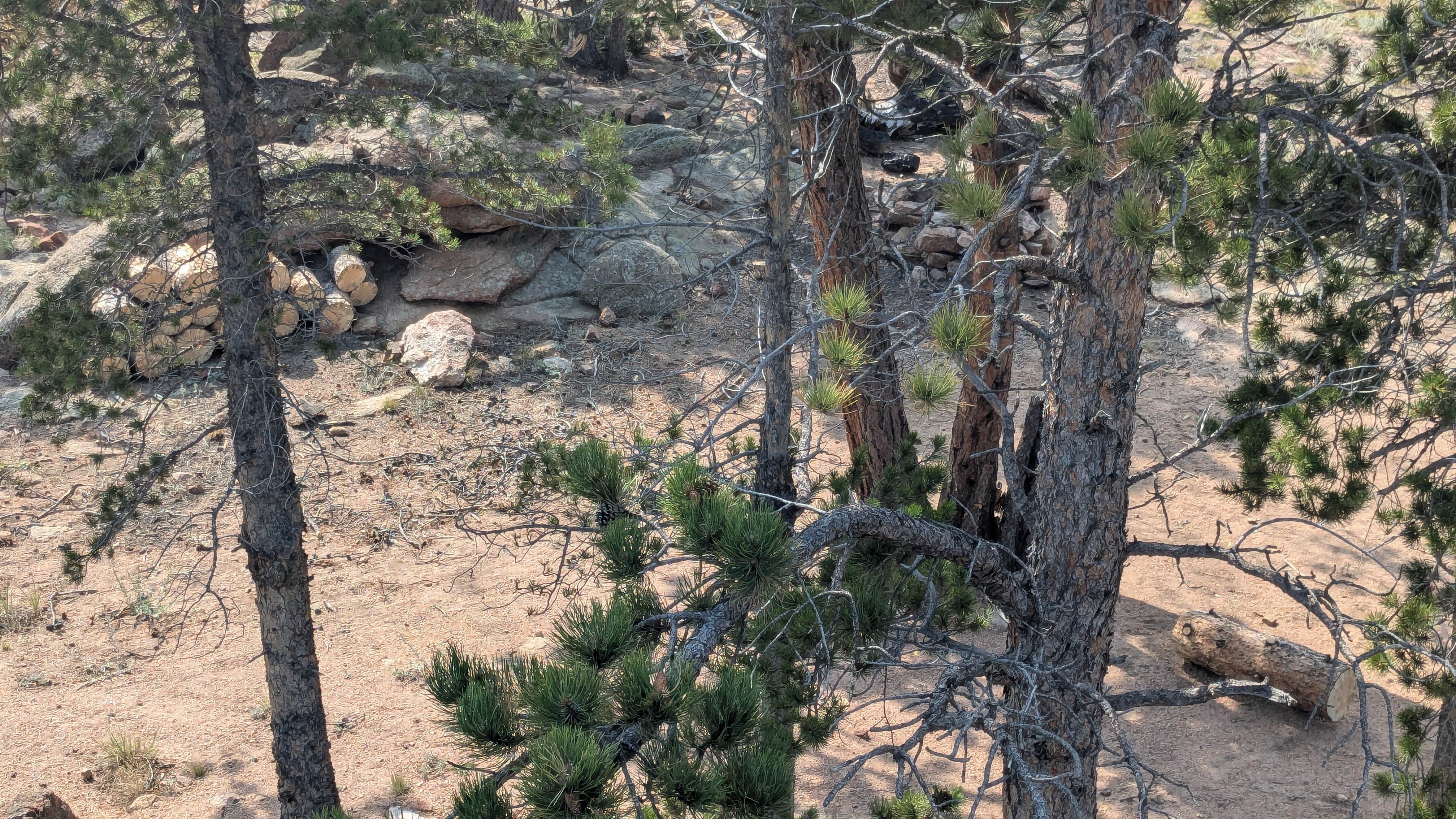 Camping near Vein Of Gold Cabin: Nice view of Gold Lake, Ward, Colorado