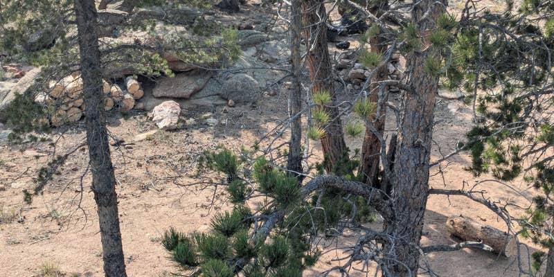 Camper submitted image from Nice view of Gold Lake