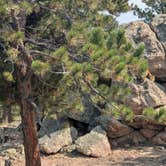 Review photo of Nice view of Gold Lake by David M., September 5, 2025