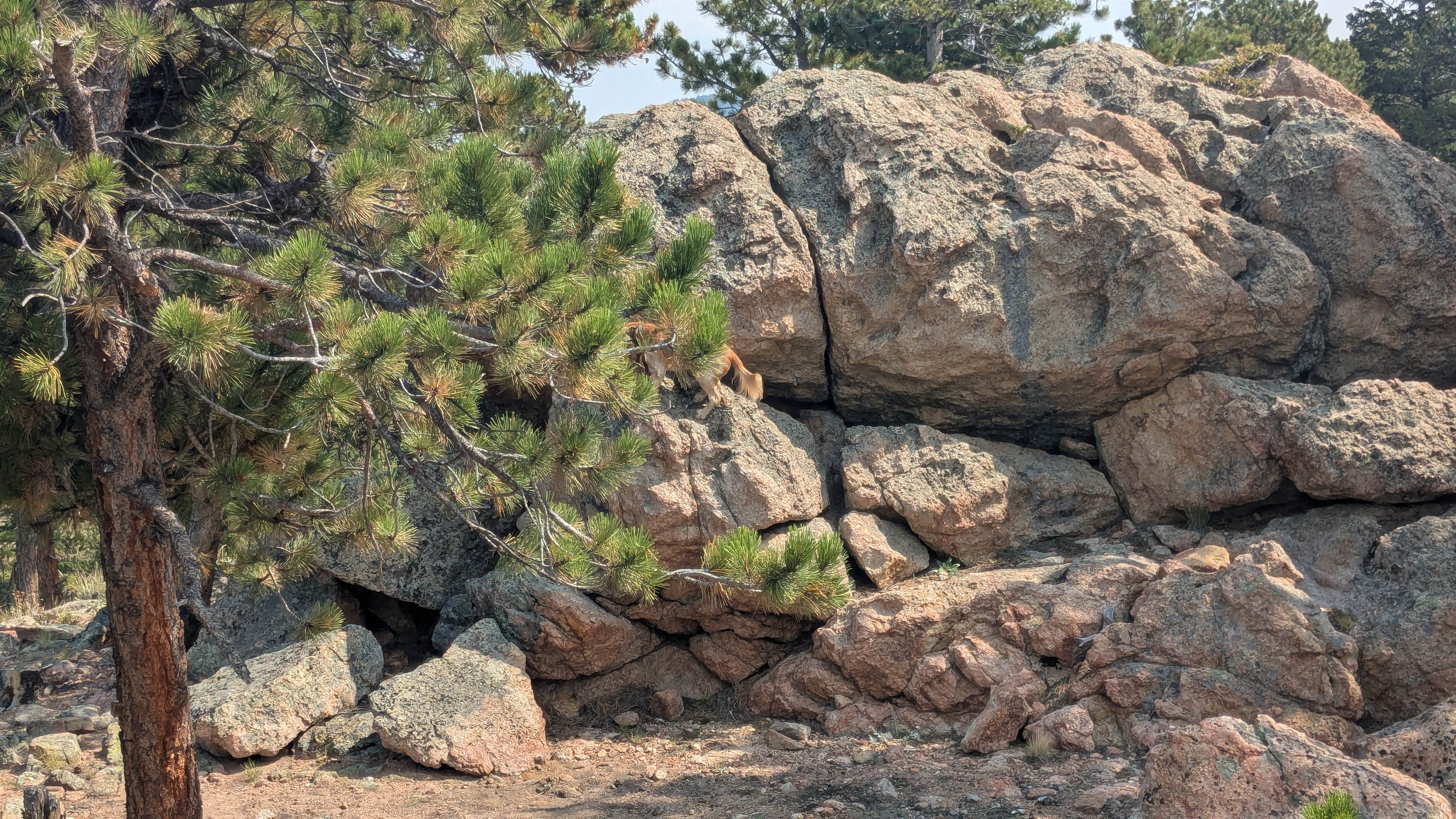 Camper-submitted photo at Nice view of Gold Lake near Hygiene, CO
