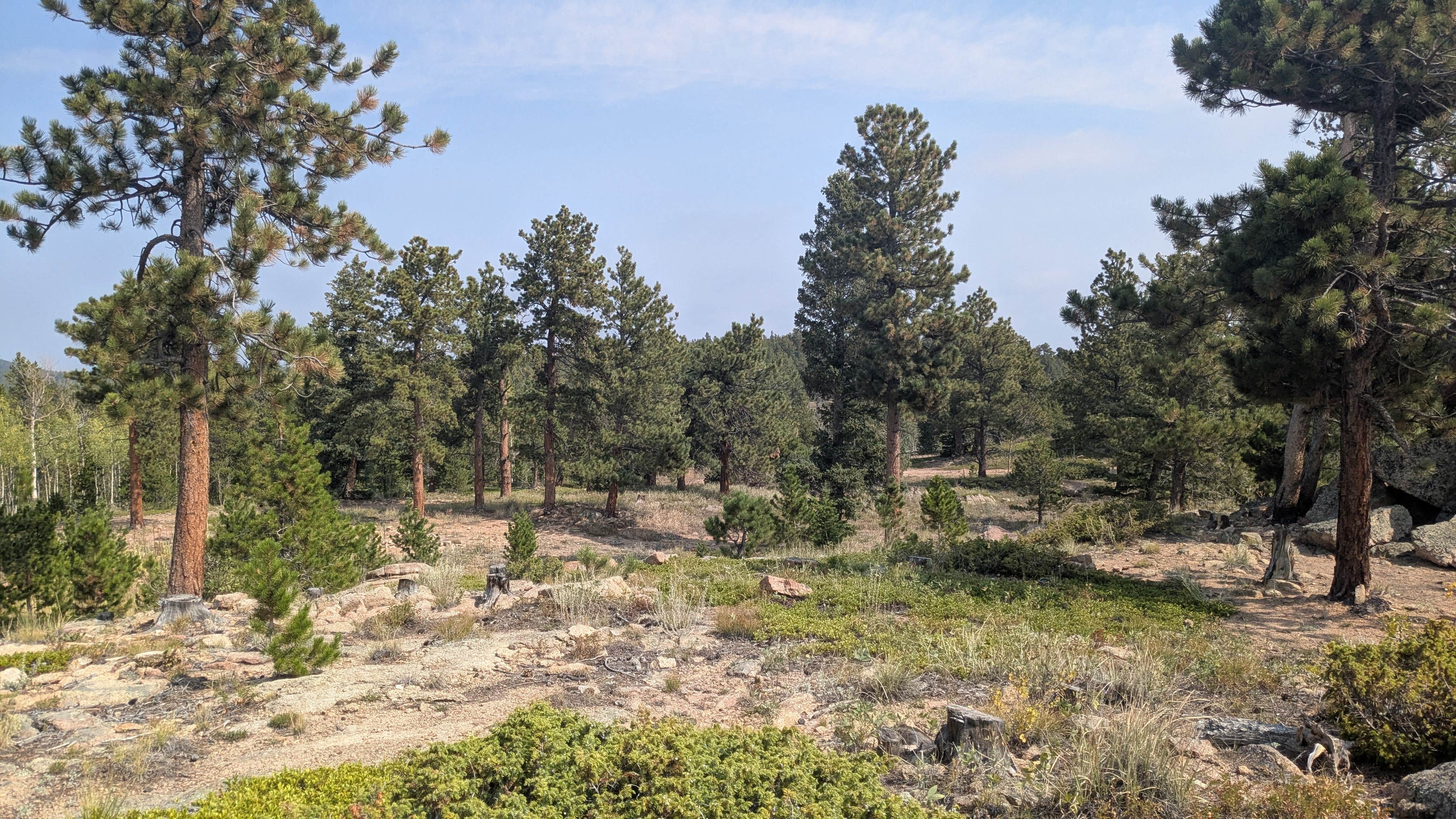 Camper-submitted photo at Nice view of Gold Lake near Hygiene, CO