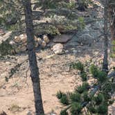Review photo of Nice view of Gold Lake by David M., September 5, 2025