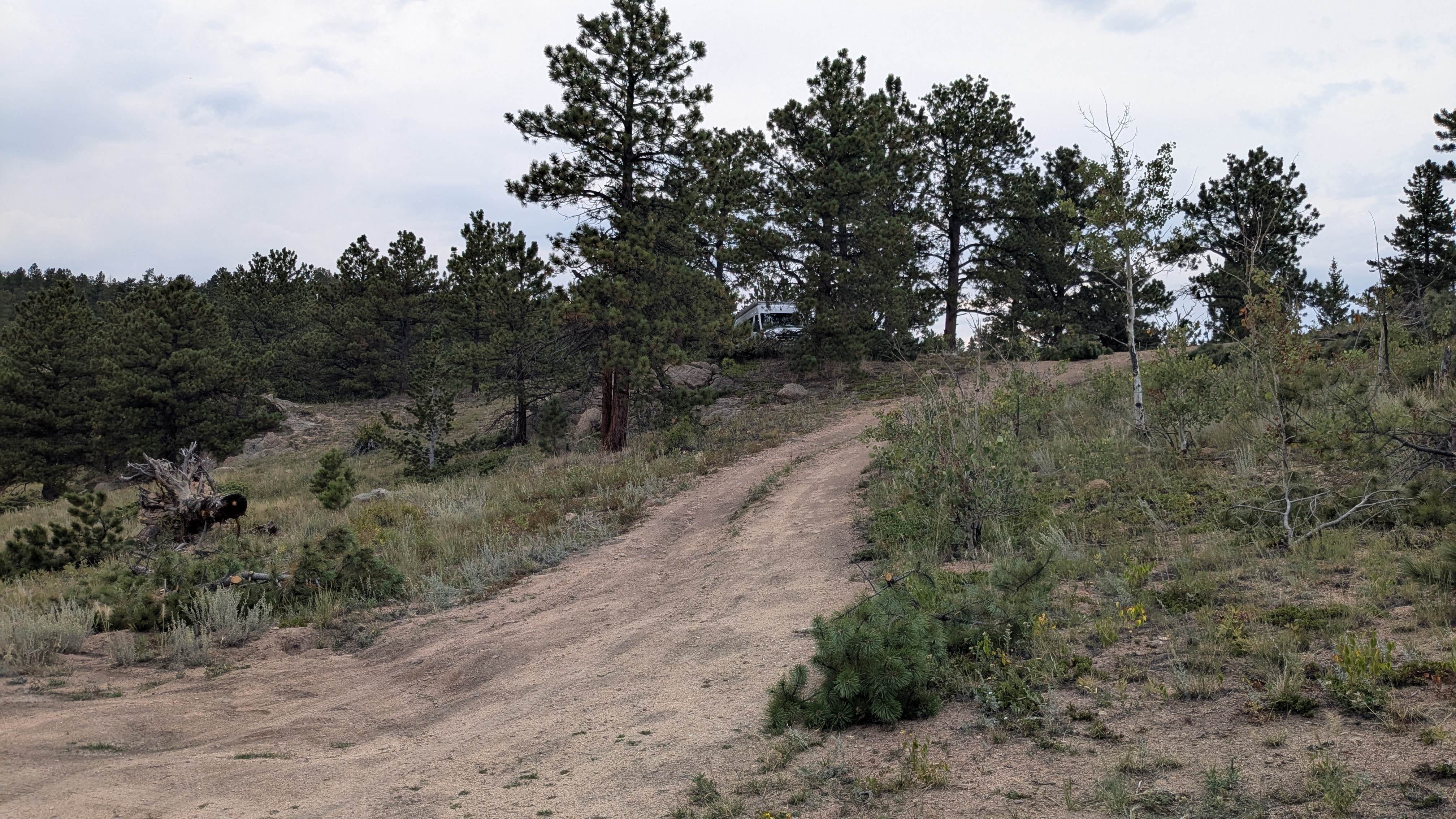 Camper submitted image from Nice view of Gold Lake - 2