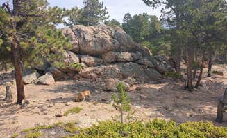David M.'s photo of camping with pets at Nice view of Gold Lake near Hygiene, CO