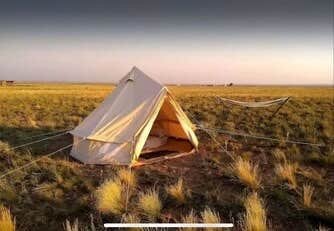 Camper submitted image from Petrified Forest Campground - 4