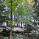 Review photo of Nicolet National Forest Luna-White Deer Campground by Kay K., August 29, 2025