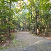 Review photo of Nicolet National Forest Luna-White Deer Campground by Kay K., August 29, 2025