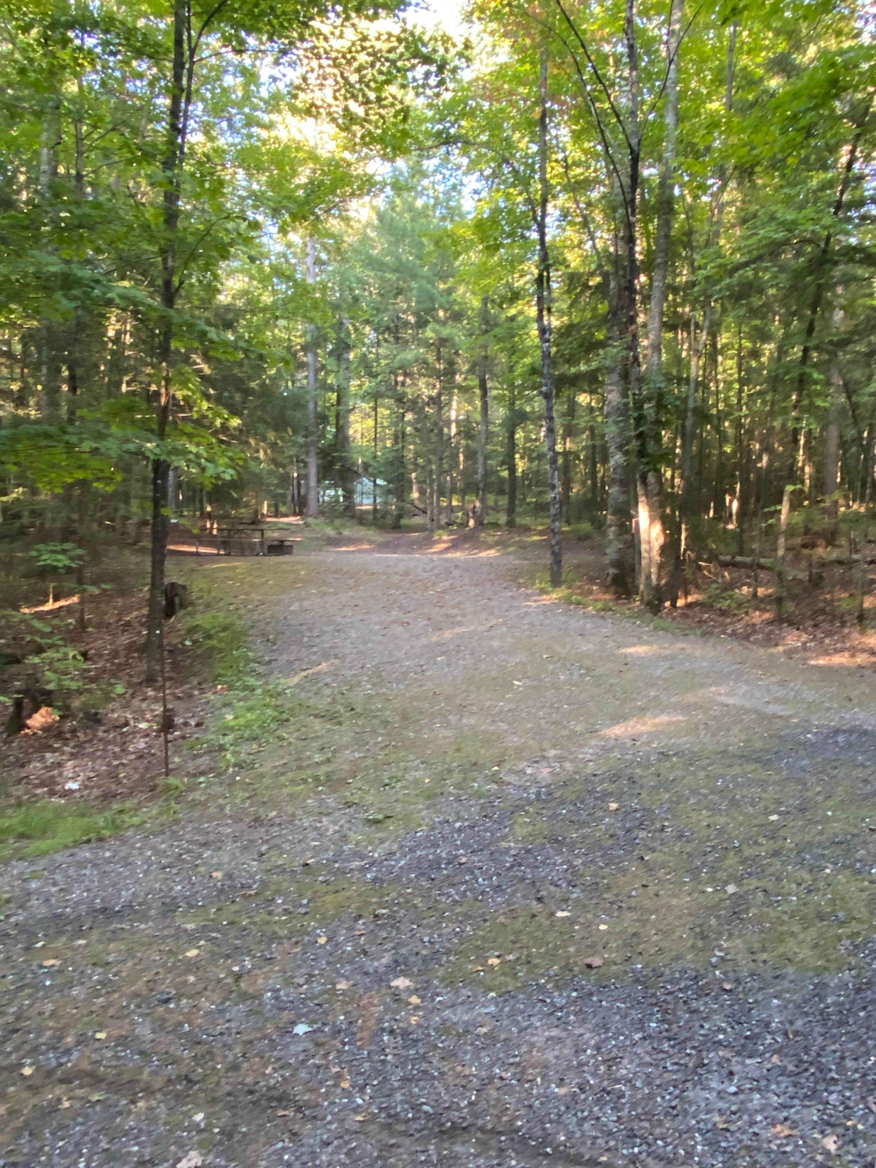 Camper submitted image from Nicolet National Forest Luna-White Deer Campground - 3