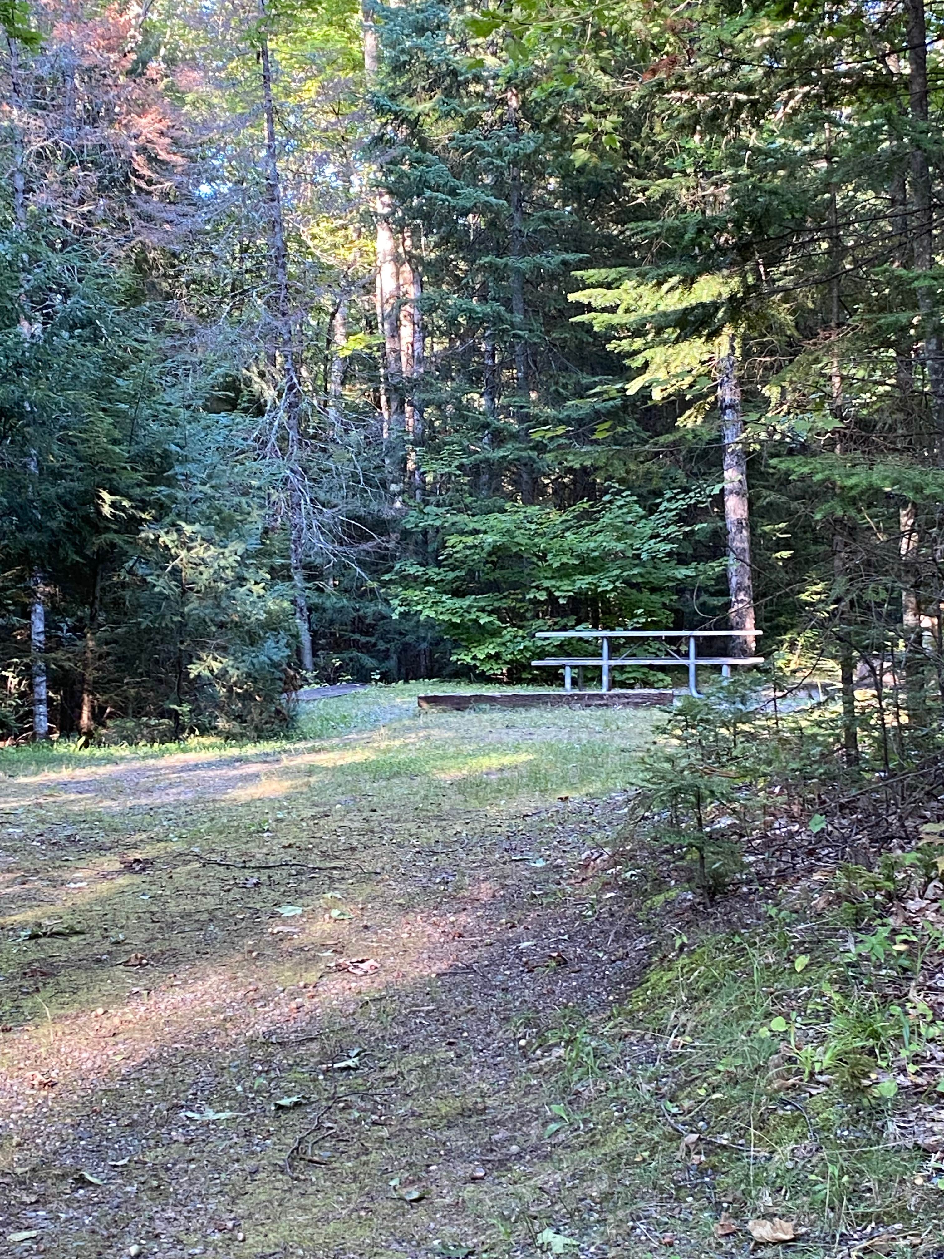 Camper submitted image from Nicolet National Forest Luna-White Deer Campground - 2