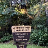Review photo of Nicolet National Forest Luna-White Deer Campground by Kay K., August 29, 2025