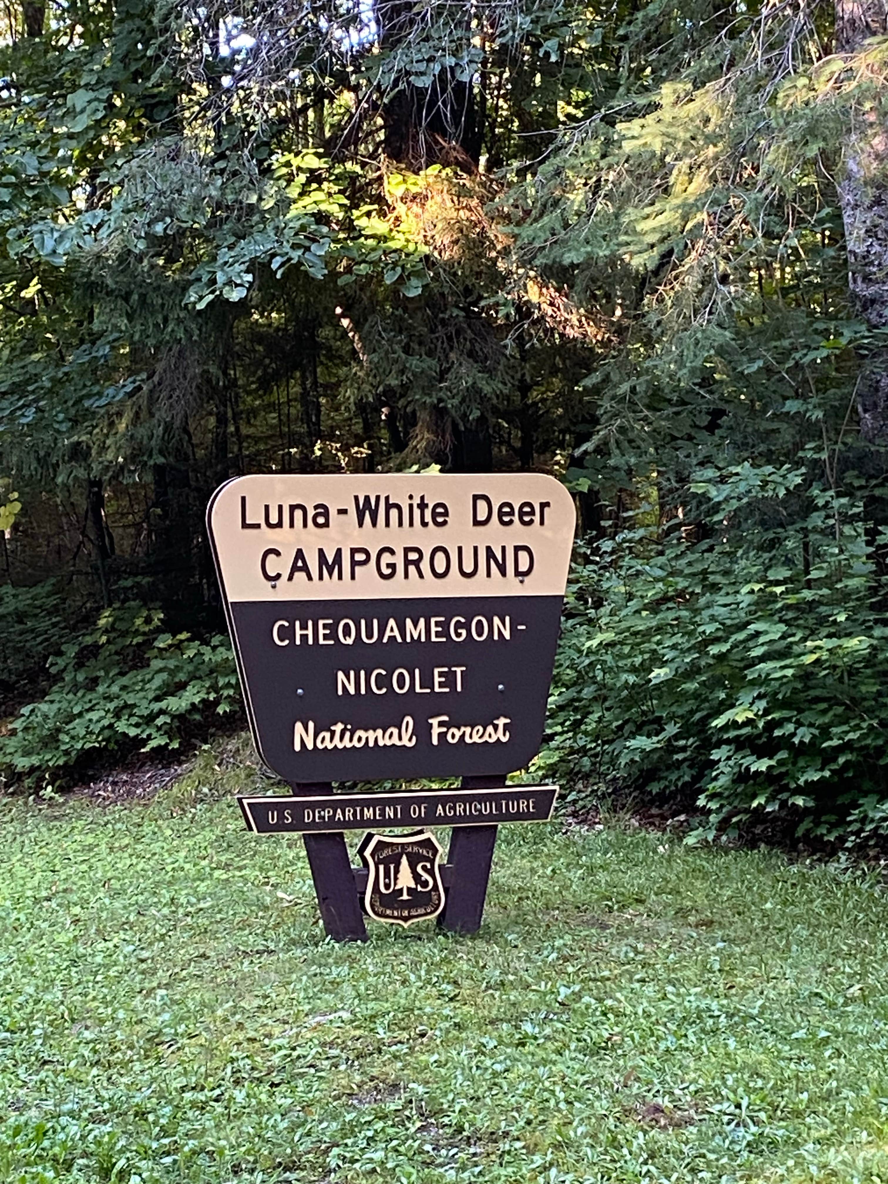 Camper submitted image from Nicolet National Forest Luna-White Deer Campground - 2