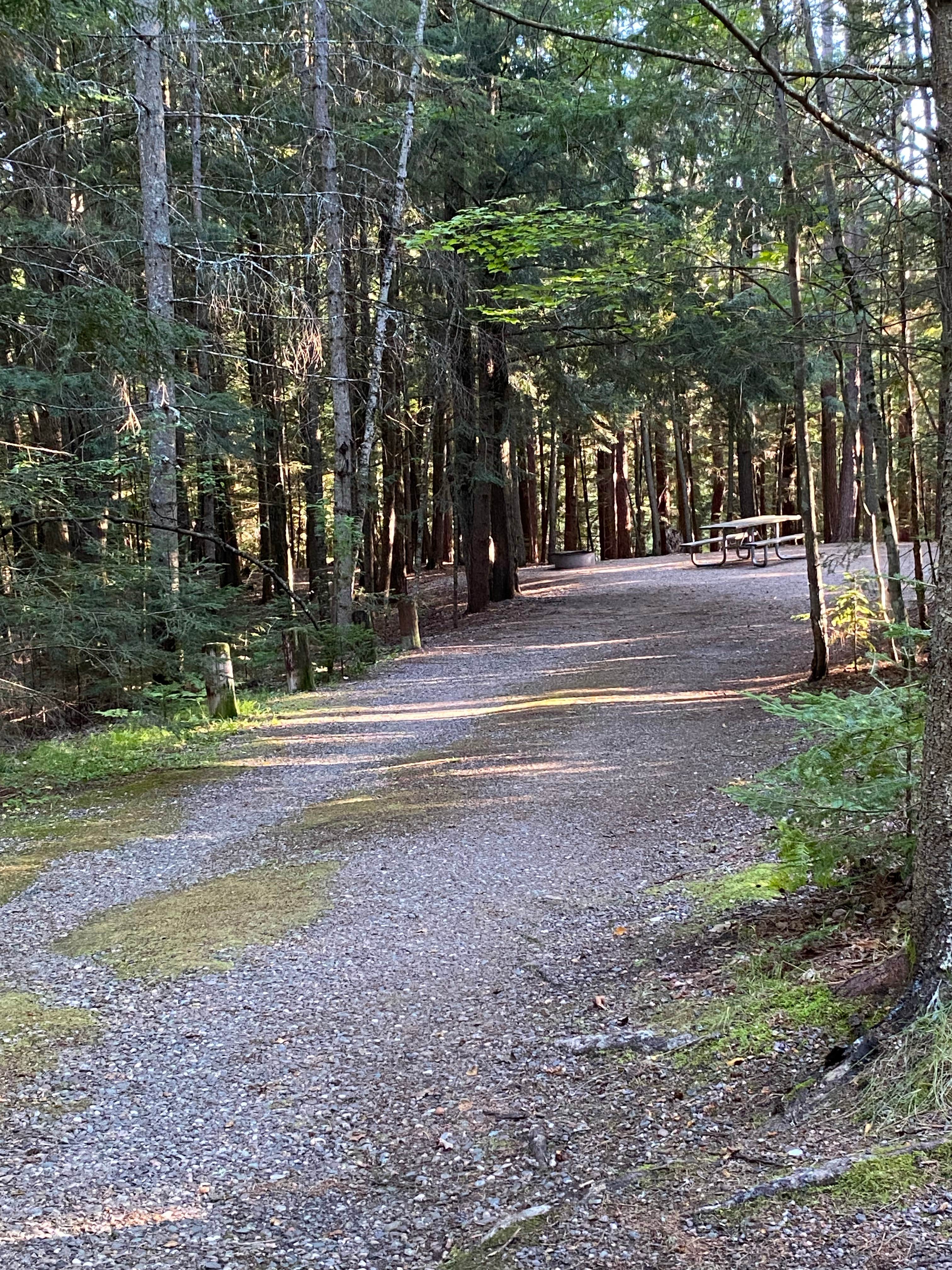 Camper submitted image from Nicolet National Forest Luna-White Deer Campground - 5
