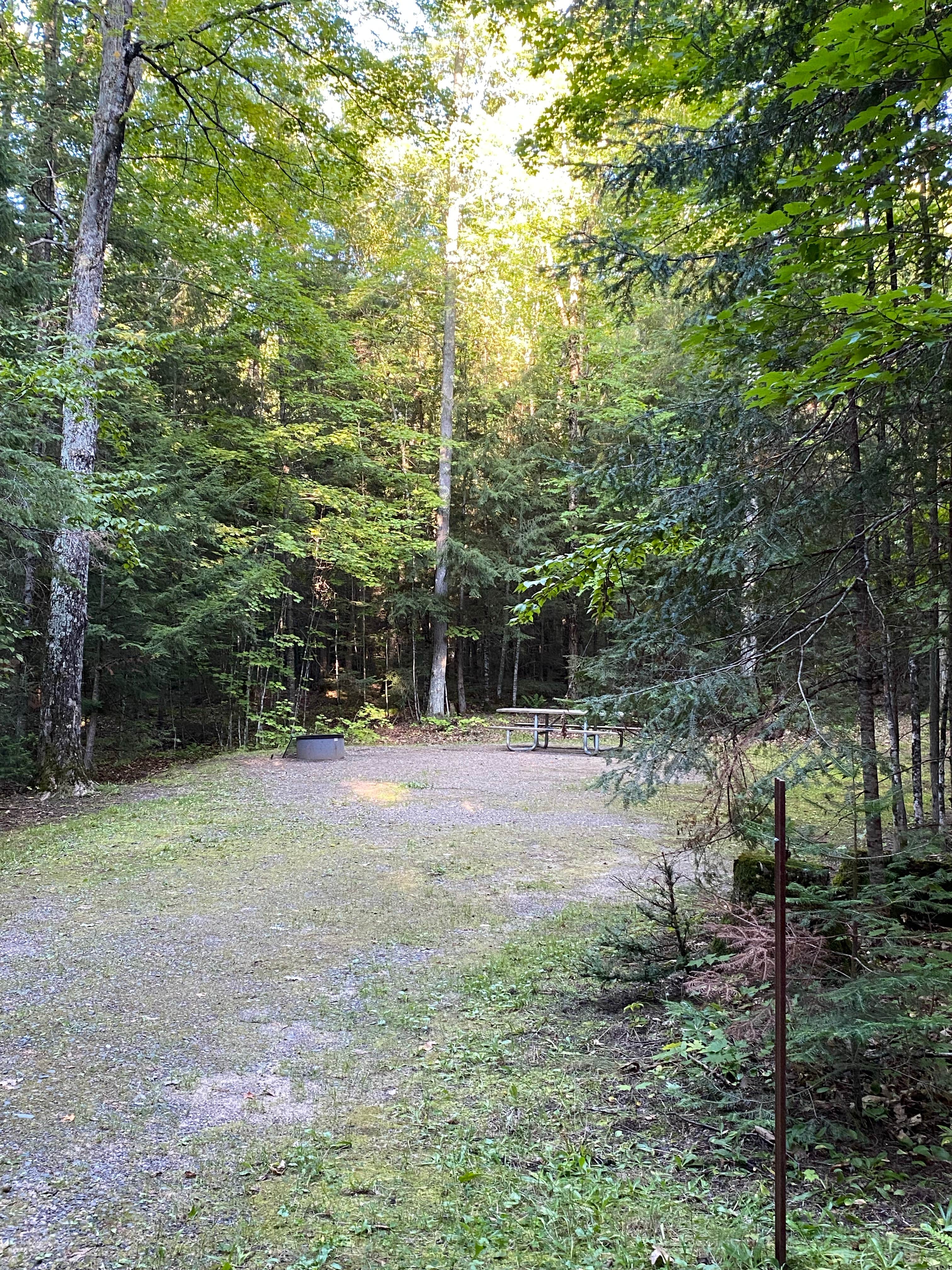 Camper submitted image from Nicolet National Forest Luna-White Deer Campground - 4