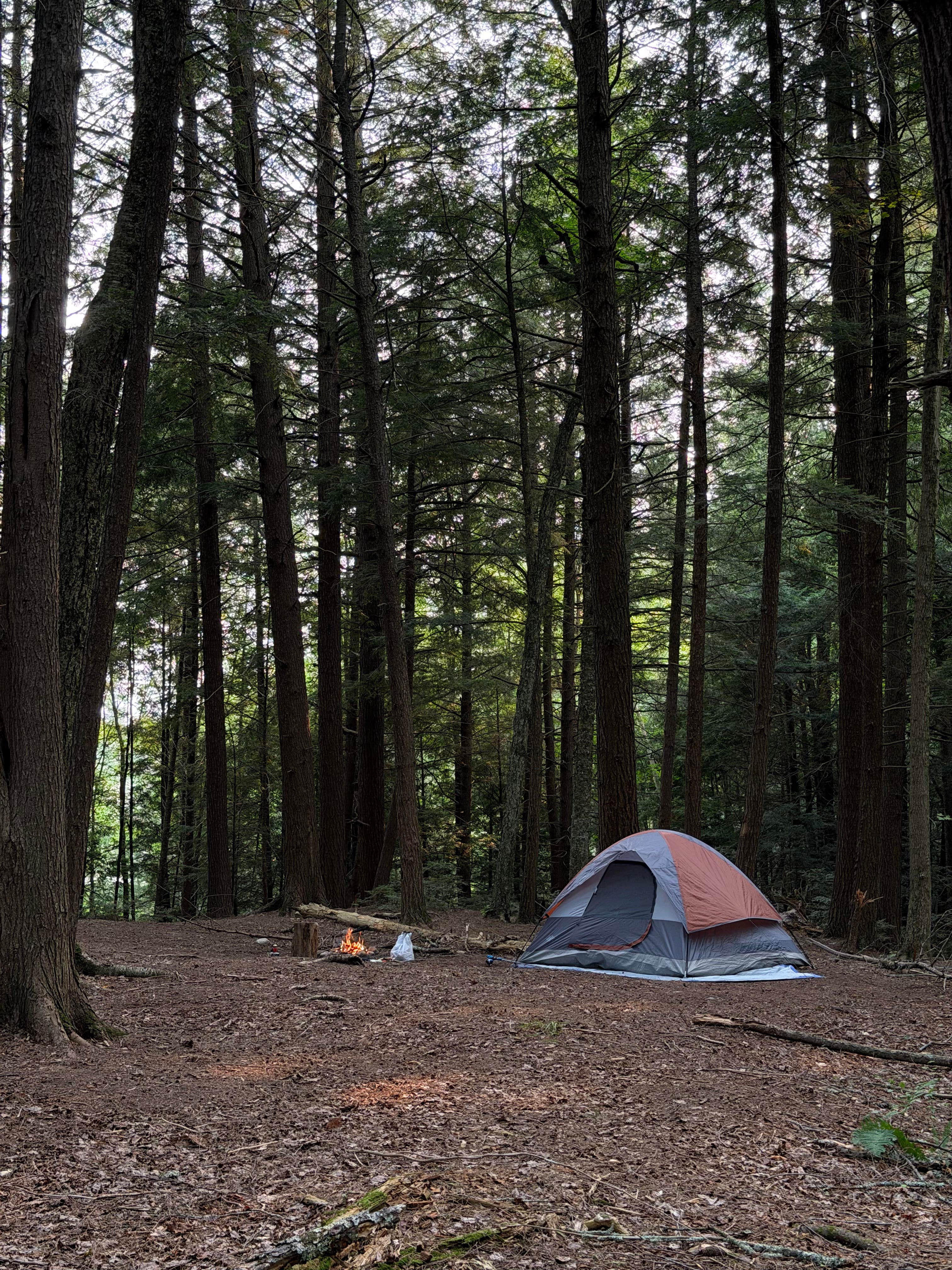Camper-submitted photo at Nicolet National Forest Pat Shay Lake near Hiles, WI