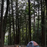 Review photo of Nicolet National Forest Pat Shay Lake by Quinlan S., August 11, 2026