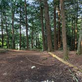 Review photo of Nicolet National Forest Pat Shay Lake by Quinlan S., August 11, 2026