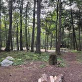 Review photo of Nicolet National Forest Pine Lake Campground by Charles E., September 5, 2024