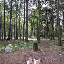 Nicolet National Forest Pine Lake Campground