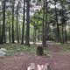 Nicolet National Forest Pine Lake Campground
