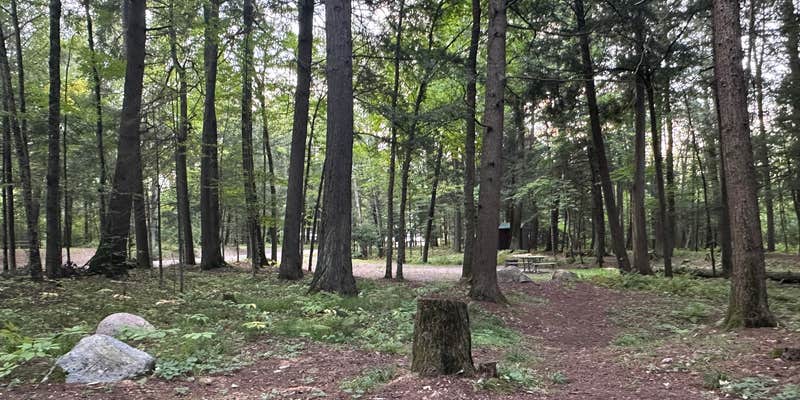 Camper submitted image from Nicolet National Forest Pine Lake Campground
