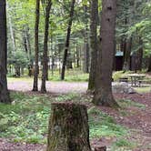 Review photo of Nicolet National Forest Pine Lake Campground by Charles E., September 5, 2024