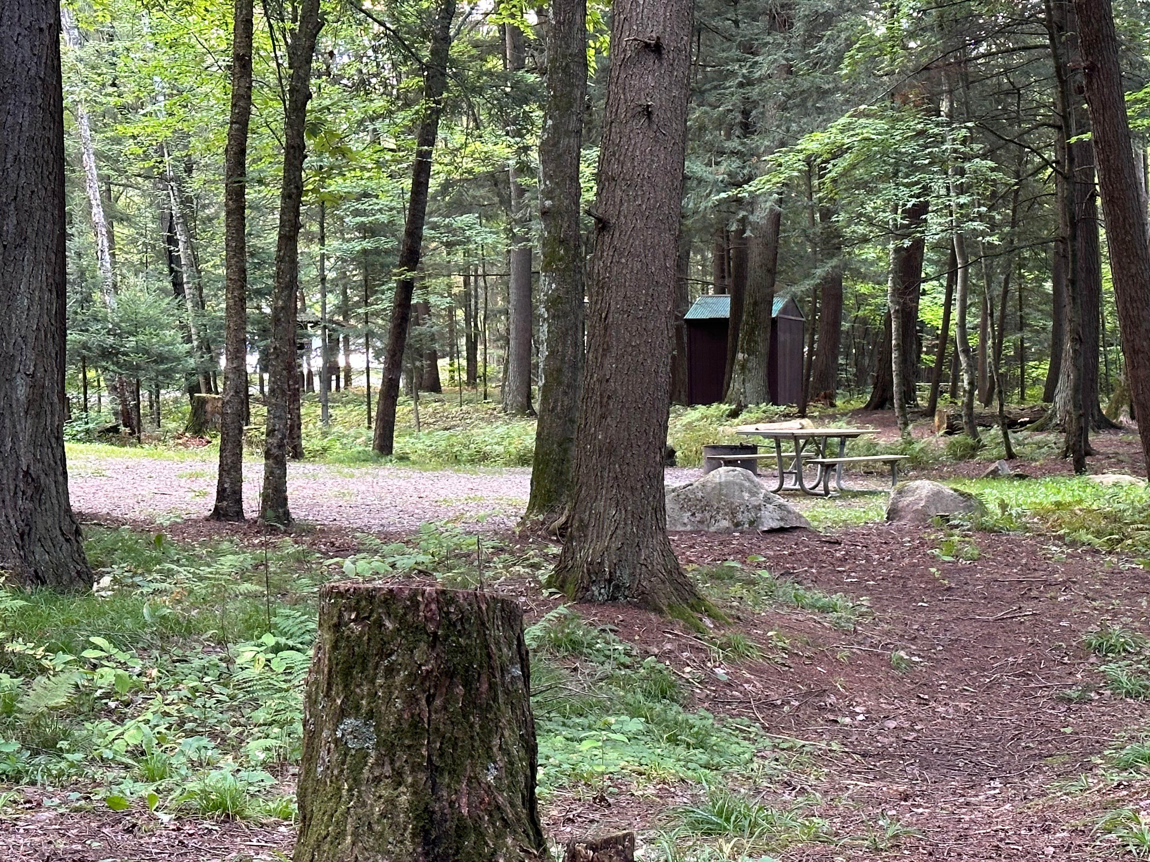 Camper submitted image from Nicolet National Forest Pine Lake Campground - 2