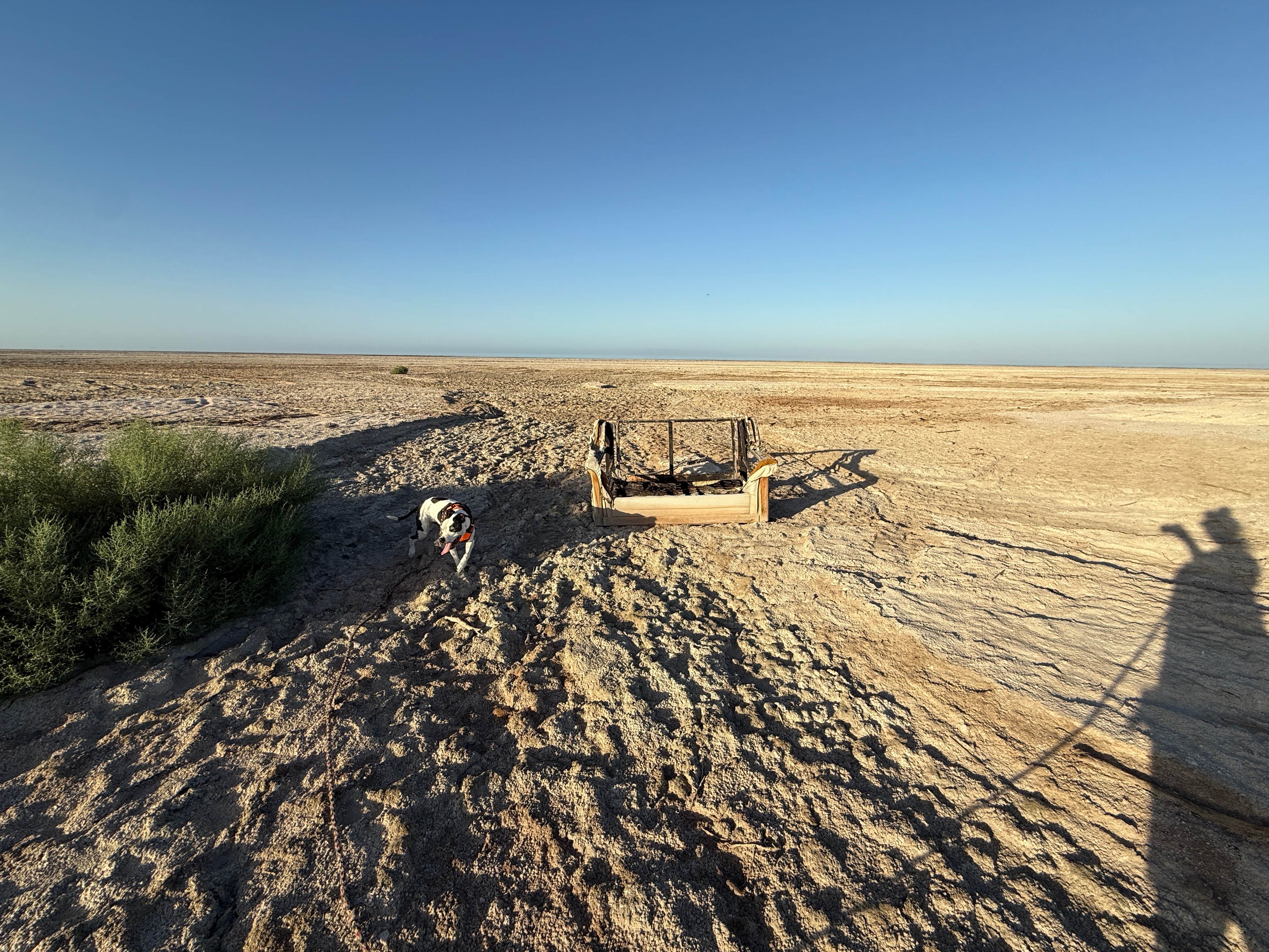 Camper submitted image from Niland Marina - 2