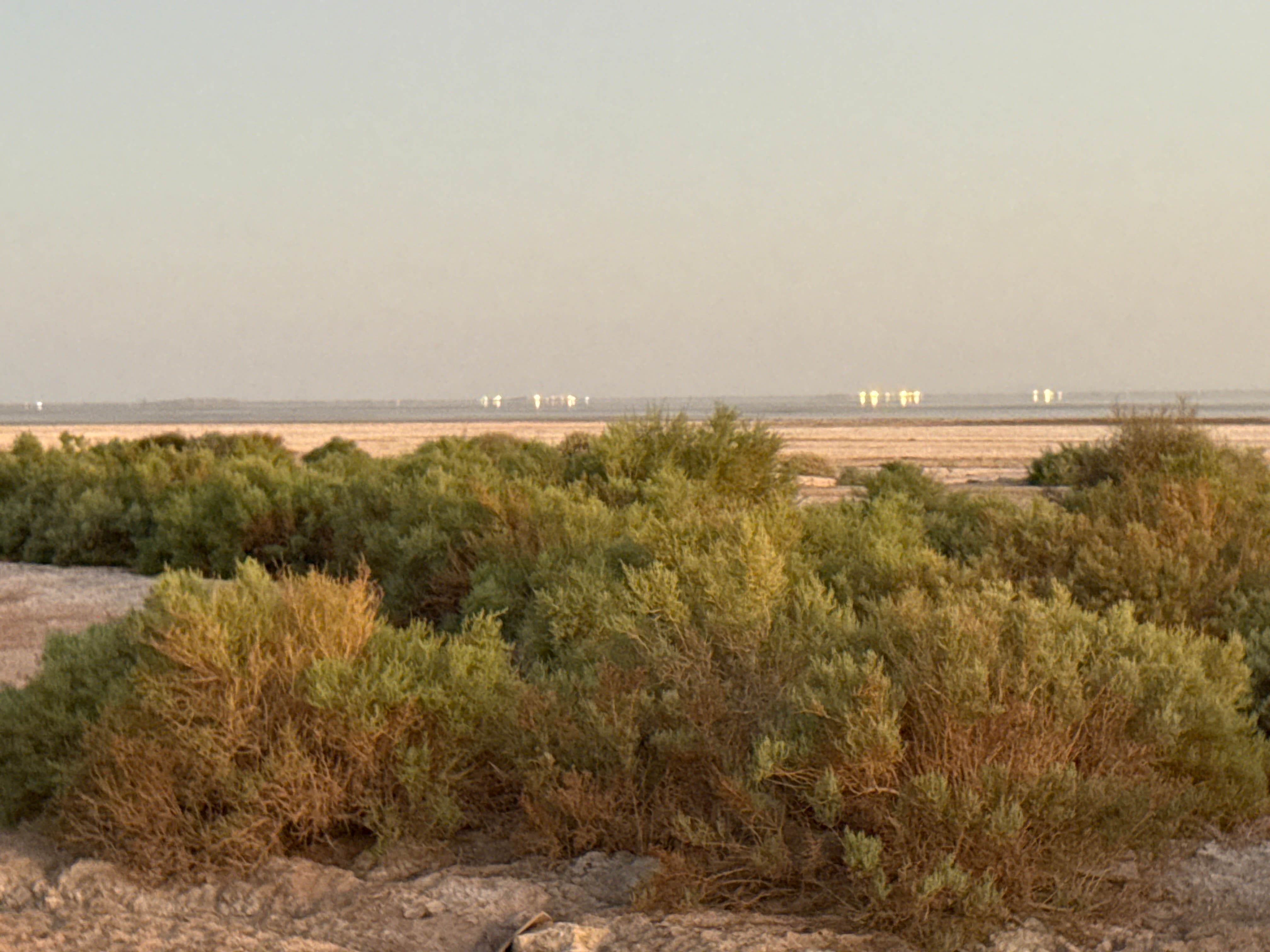 Camper-submitted photo at Niland Marina near Niland, CA