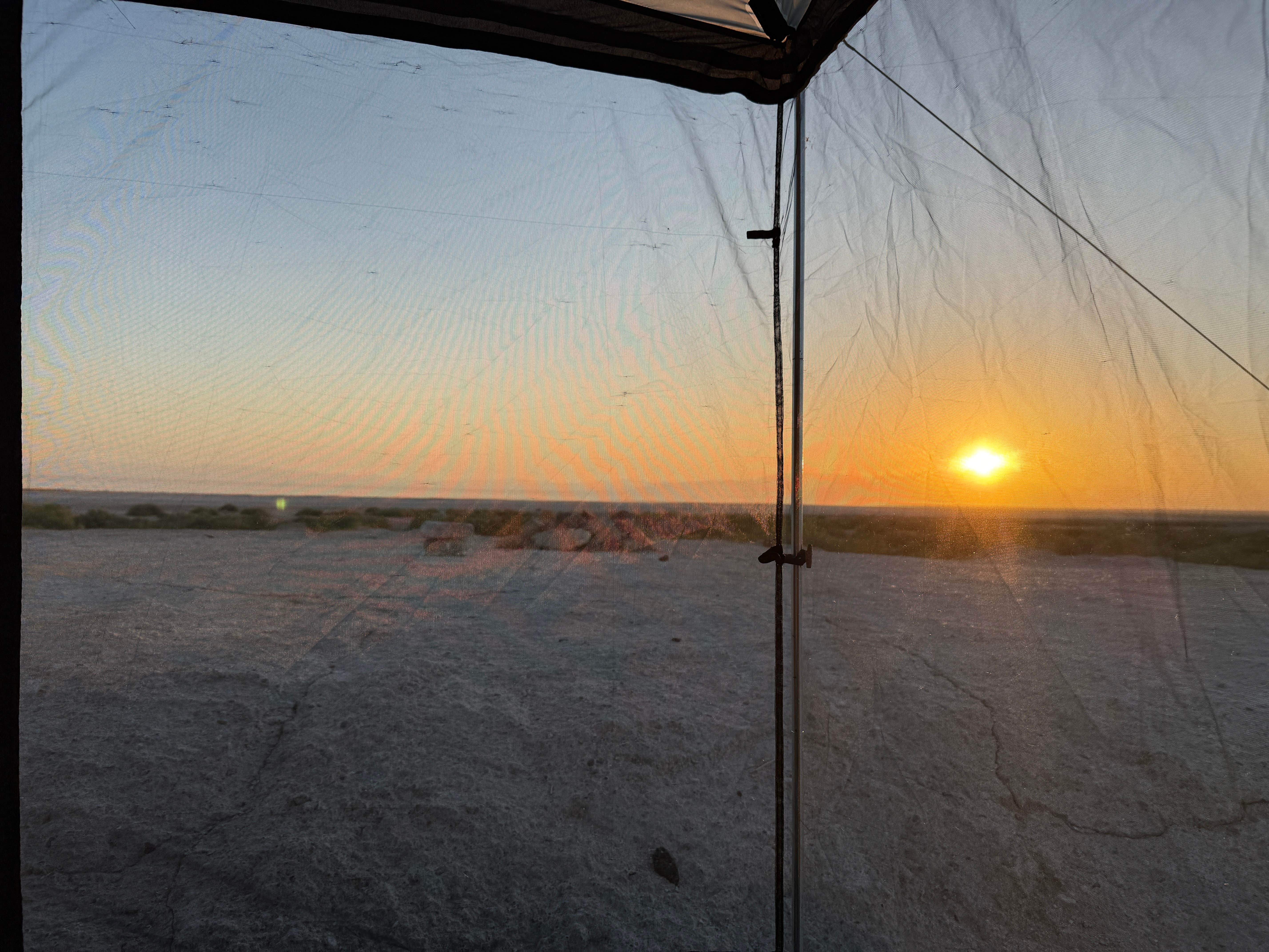 SoCalsAngels's photo of a dispersed camping area at Niland Marina near Ocotillo Wells, CA